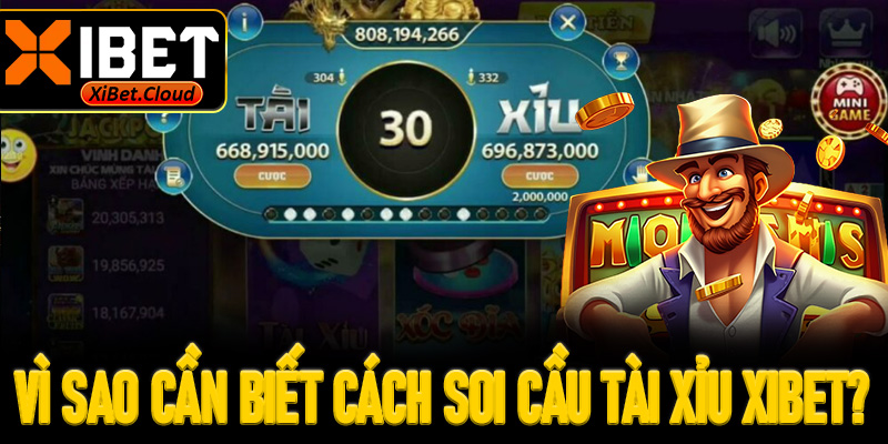 Vì sao cần biết cách soi cầu tài xỉu XiBet?